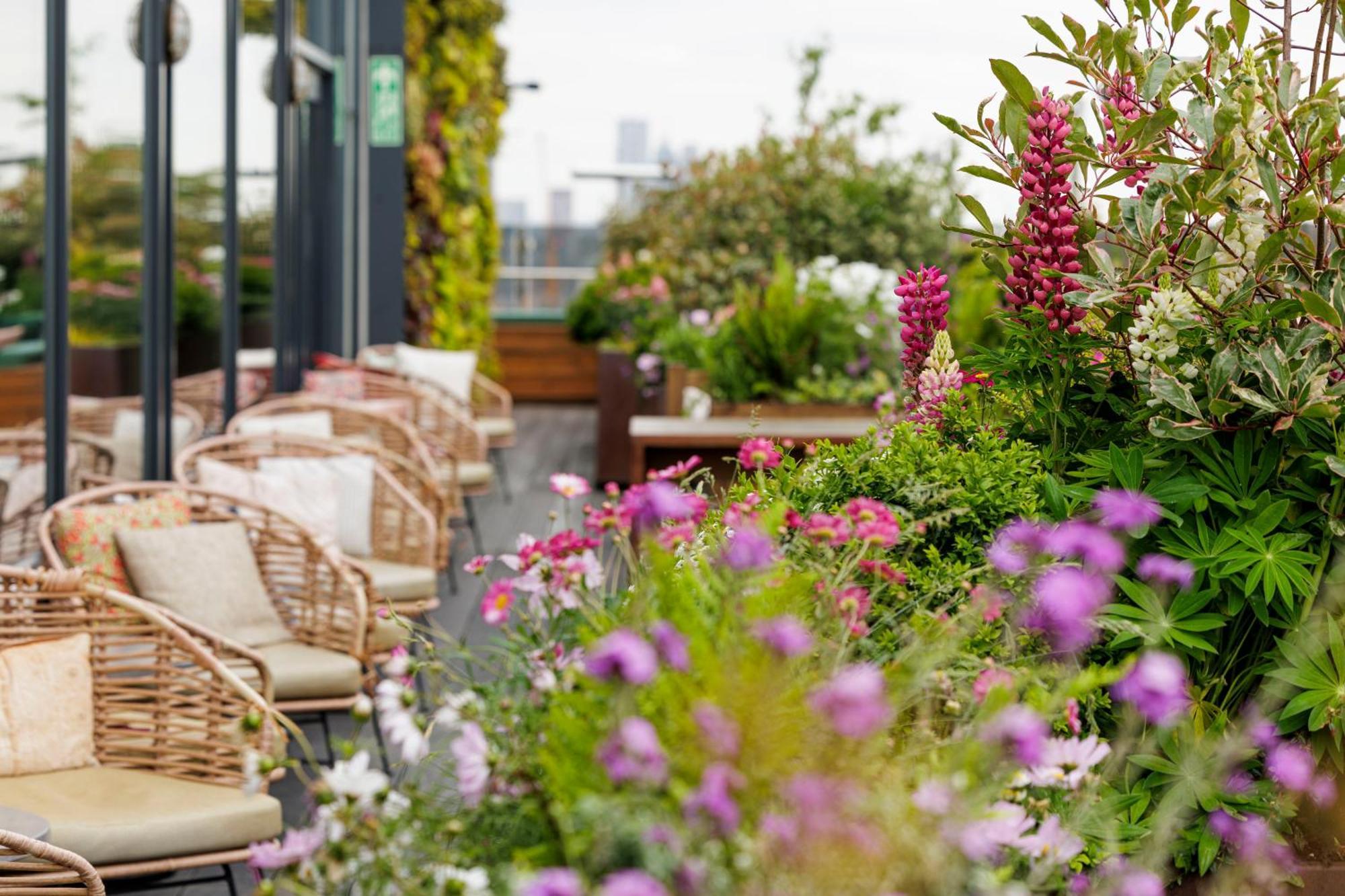 Treehouse Londres